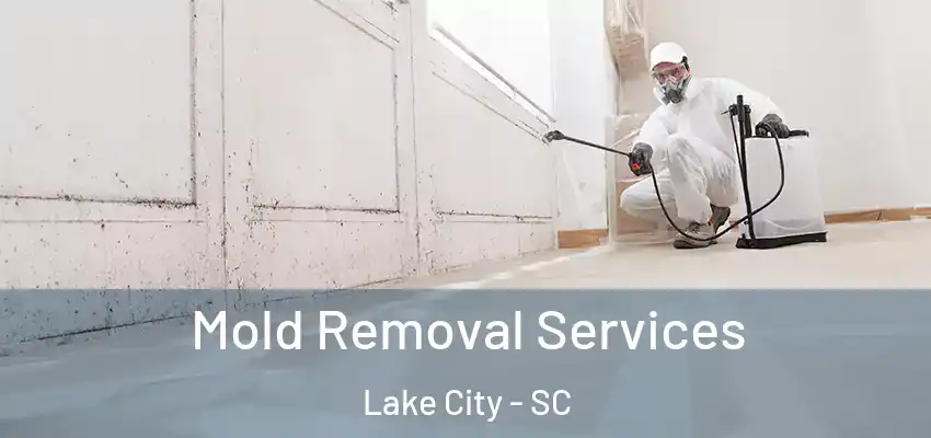Mold Removal Services Lake City - SC