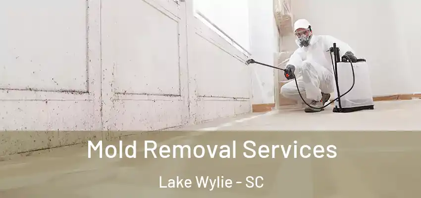 Mold Removal Services Lake Wylie - SC