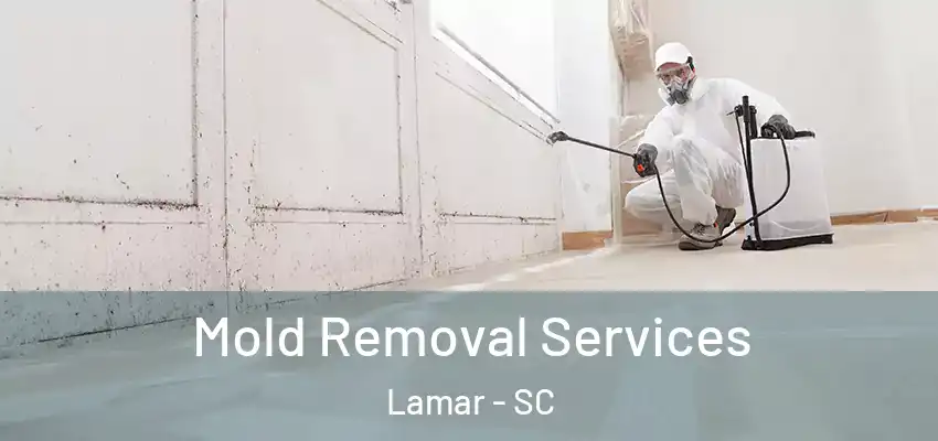 Mold Removal Services Lamar - SC