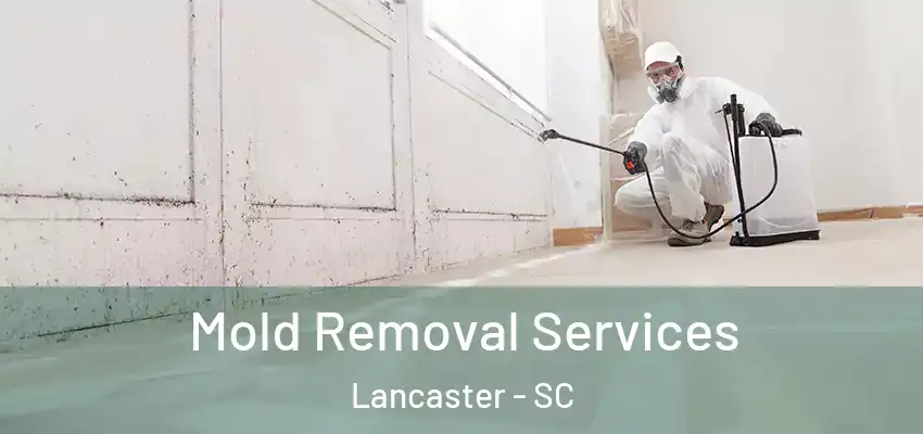 Mold Removal Services Lancaster - SC