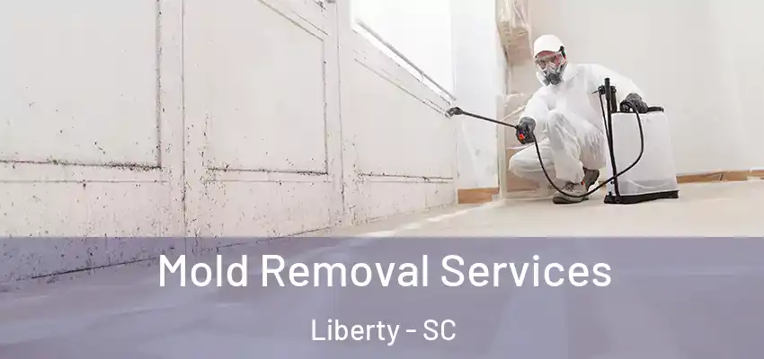  Mold Removal Services Liberty - SC