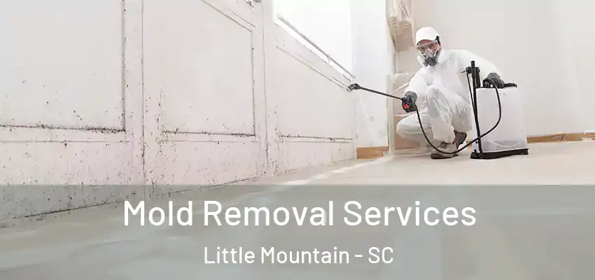  Mold Removal Services Little Mountain - SC