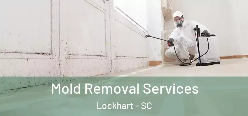 Mold Removal Services Lockhart - SC