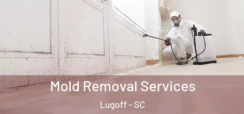Mold Removal Services Lugoff - SC