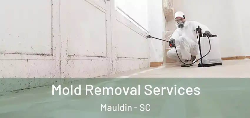 Mold Removal Services Mauldin - SC