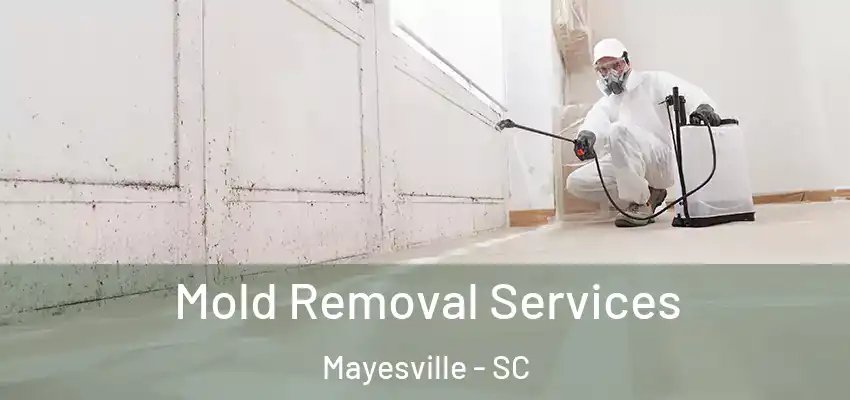 Mold Removal Services Mayesville - SC