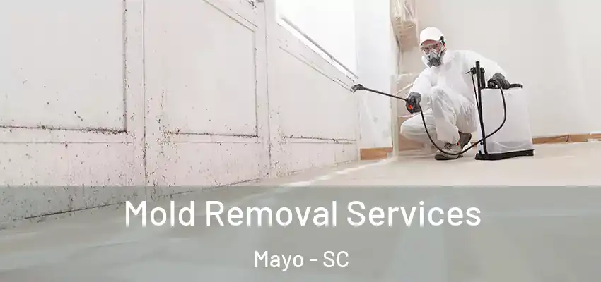 Mold Removal Services Mayo - SC