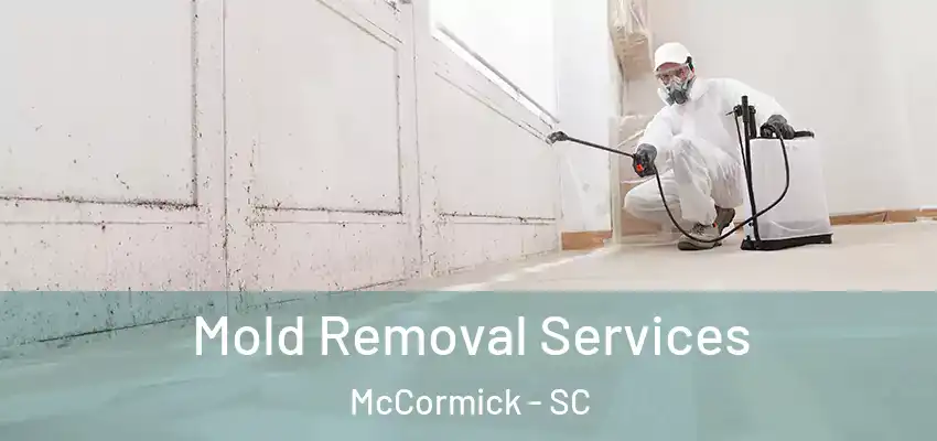  Mold Removal Services McCormick - SC