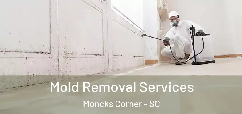 Mold Removal Services Moncks Corner - SC