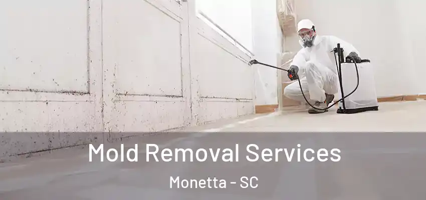  Mold Removal Services Monetta - SC