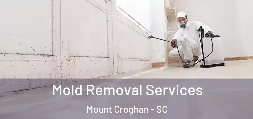  Mold Removal Services Mount Croghan - SC