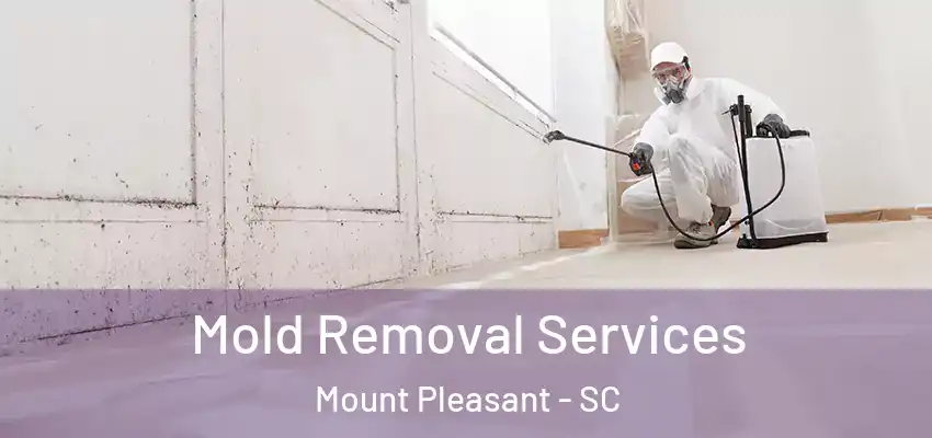  Mold Removal Services Mount Pleasant - SC