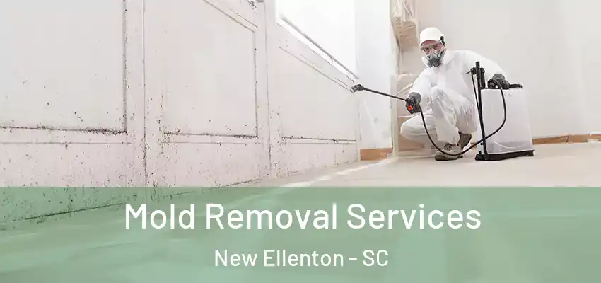  Mold Removal Services New Ellenton - SC