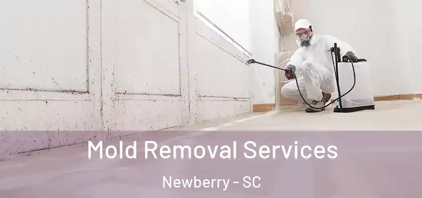  Mold Removal Services Newberry - SC