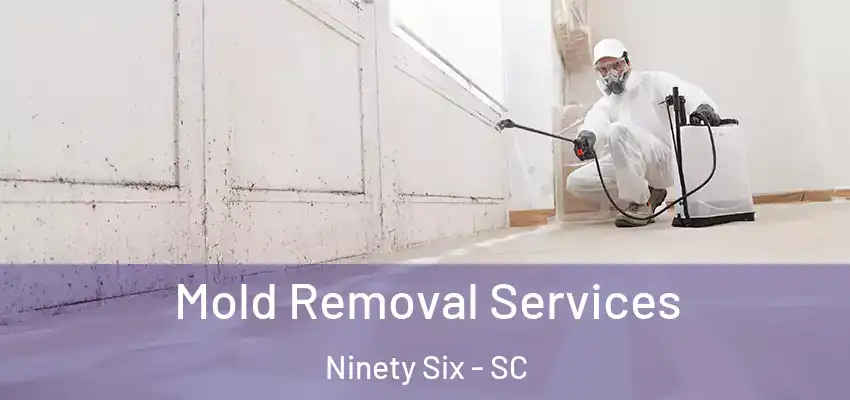 Mold Removal Services Ninety Six - SC