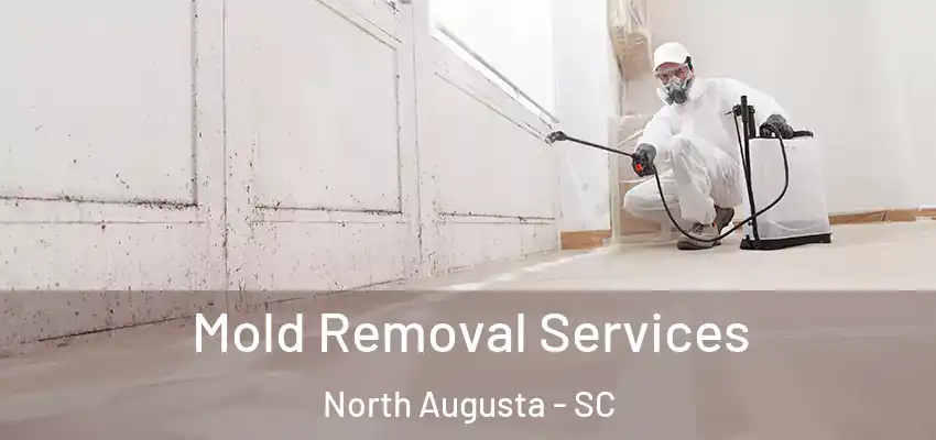  Mold Removal Services North Augusta - SC