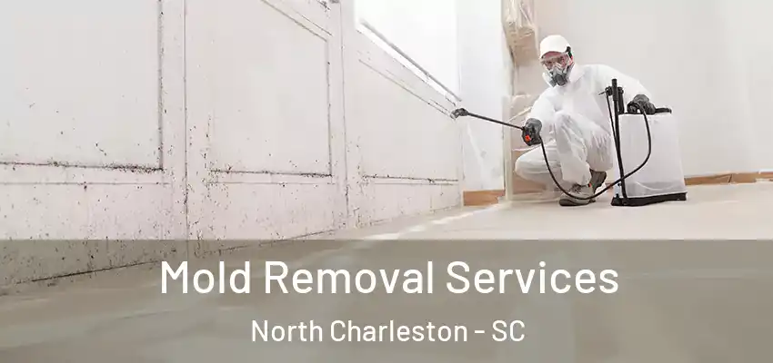 Mold Removal Services North Charleston - SC