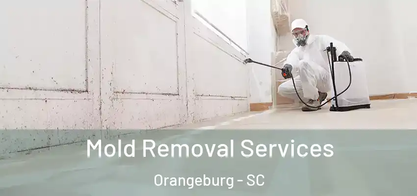  Mold Removal Services Orangeburg - SC