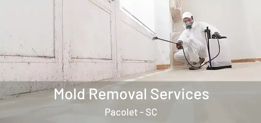 Mold Removal Services Pacolet - SC