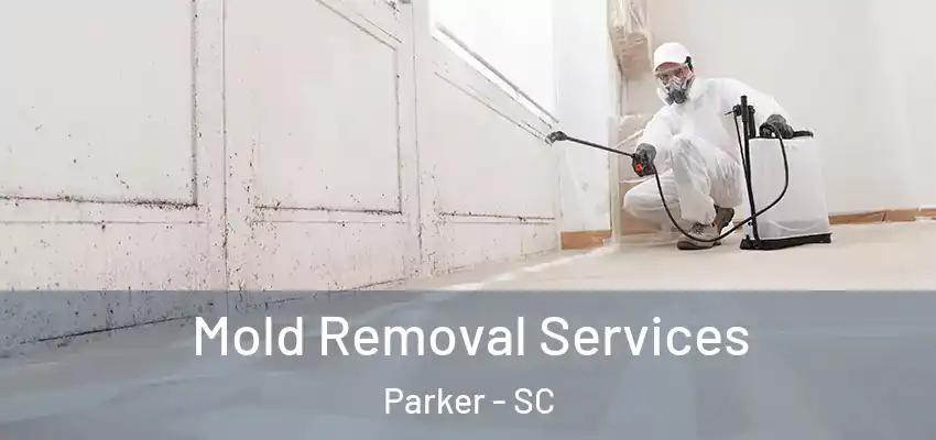 Mold Removal Services Parker - SC