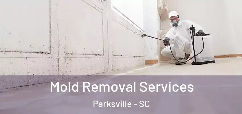  Mold Removal Services Parksville - SC