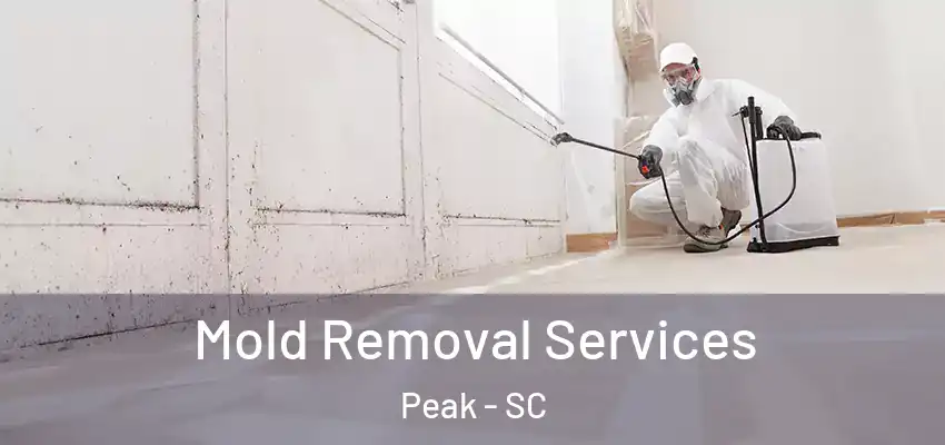 Mold Removal Services Peak - SC