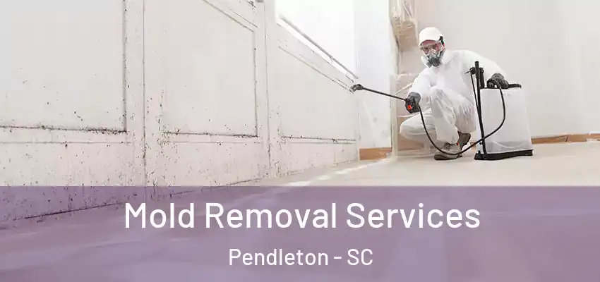  Mold Removal Services Pendleton - SC