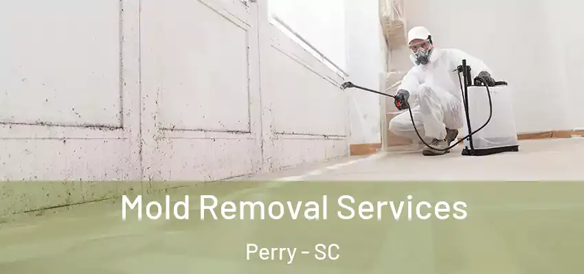  Mold Removal Services Perry - SC