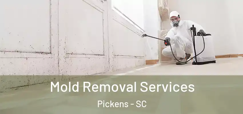 Mold Removal Services Pickens - SC