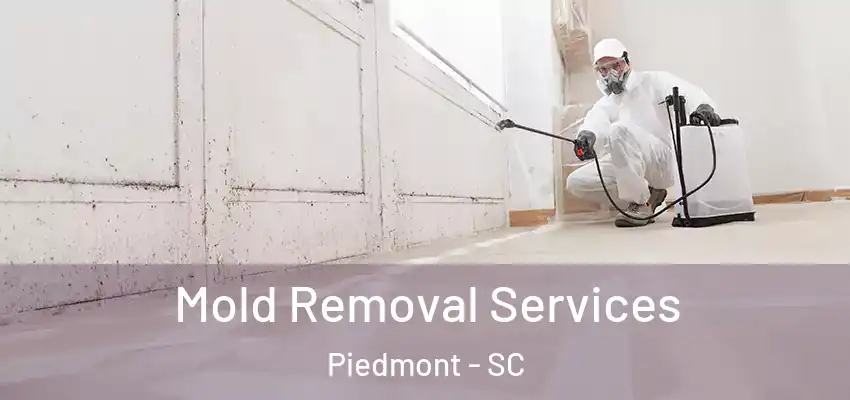  Mold Removal Services Piedmont - SC