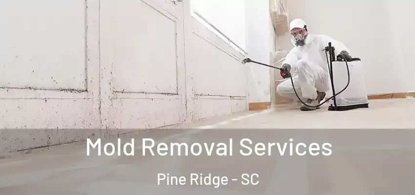 Mold Removal Services Pine Ridge - SC