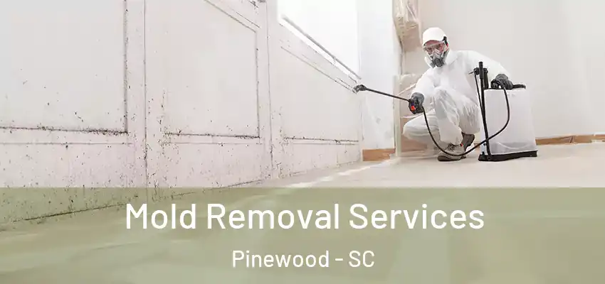 Mold Removal Services Pinewood - SC