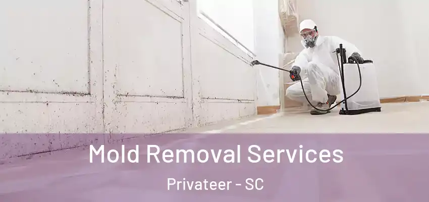 Mold Removal Services Privateer - SC
