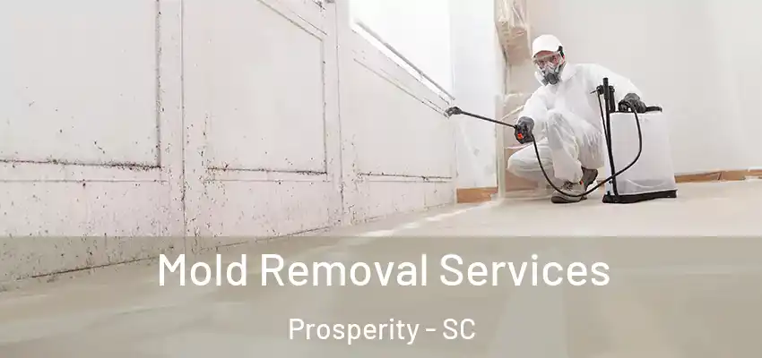  Mold Removal Services Prosperity - SC