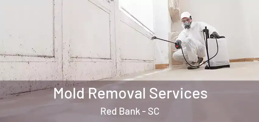  Mold Removal Services Red Bank - SC