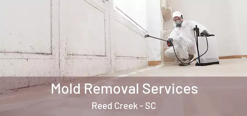  Mold Removal Services Reed Creek - SC