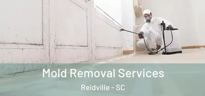  Mold Removal Services Reidville - SC
