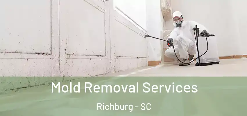  Mold Removal Services Richburg - SC