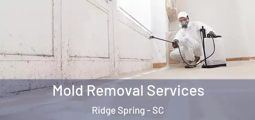 Mold Removal Services Ridge Spring - SC