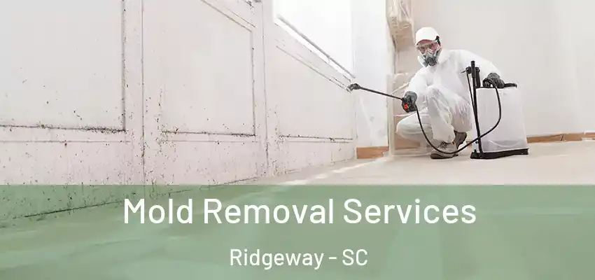 Mold Removal Services Ridgeway - SC