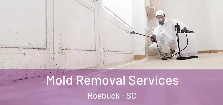 Mold Removal Services Roebuck - SC