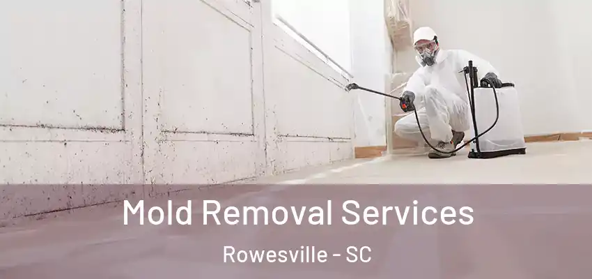  Mold Removal Services Rowesville - SC