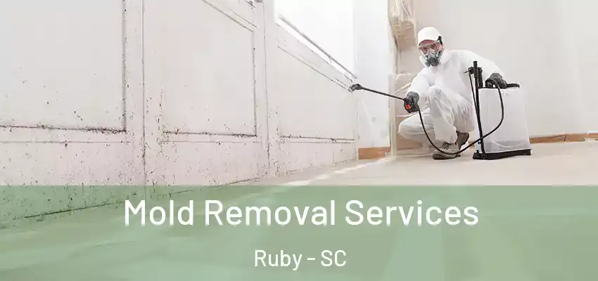  Mold Removal Services Ruby - SC