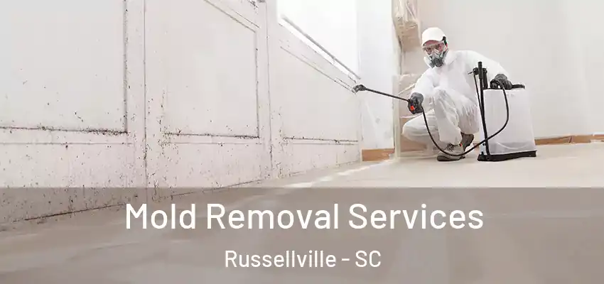 Mold Removal Services Russellville - SC