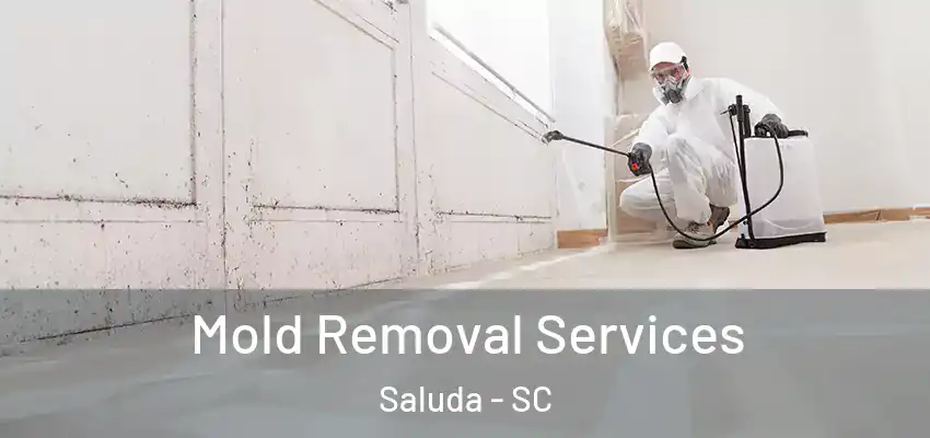Mold Removal Services Saluda - SC