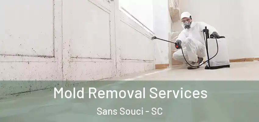 Mold Removal Services Sans Souci - SC