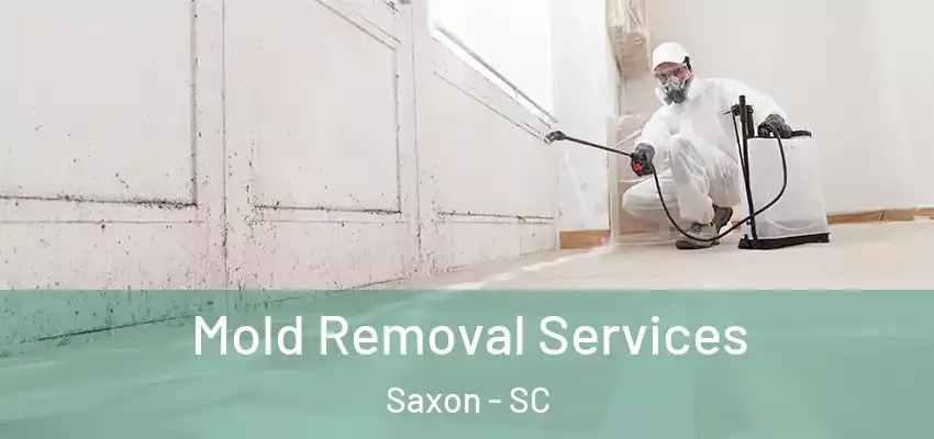  Mold Removal Services Saxon - SC