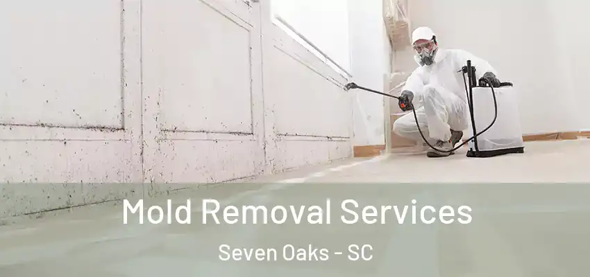  Mold Removal Services Seven Oaks - SC