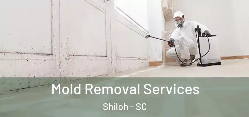 Mold Removal Services Shiloh - SC
