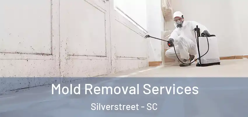  Mold Removal Services Silverstreet - SC
